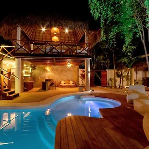  Auberge de jeunesse Mimosa